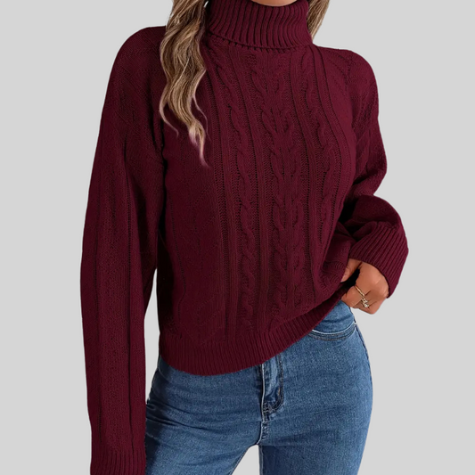 Cozy Turtleneck Knit Pullover Sweater